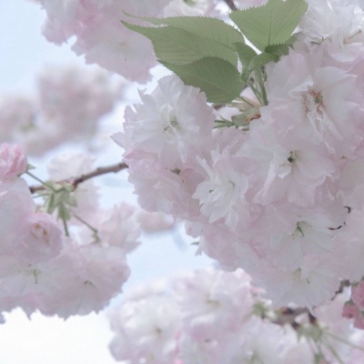 Furry数位绘画实用技巧FurryQQ群